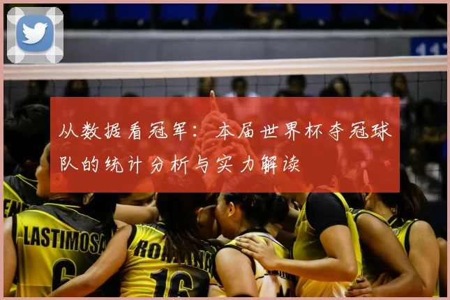 从数据看冠军:本届世界杯夺冠球队的统计分析与实力解读
