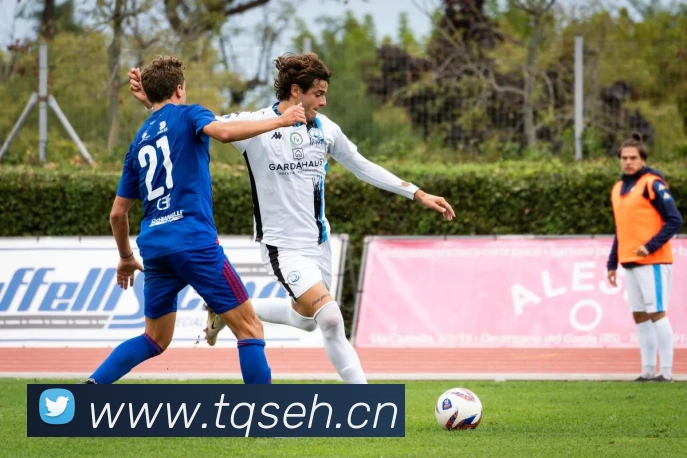 环球app网址平台生态图